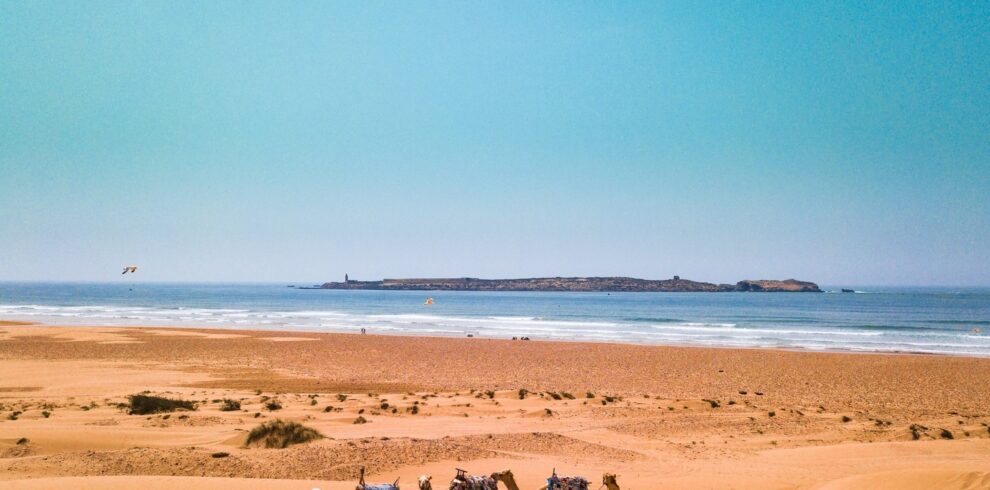 imgi_34_355816057_233152529493230_4343527904382149638_n