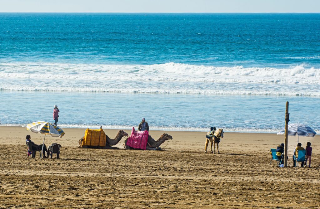 Camels with riders by the sea on a sunny beach day, featuring umbrellas and people.