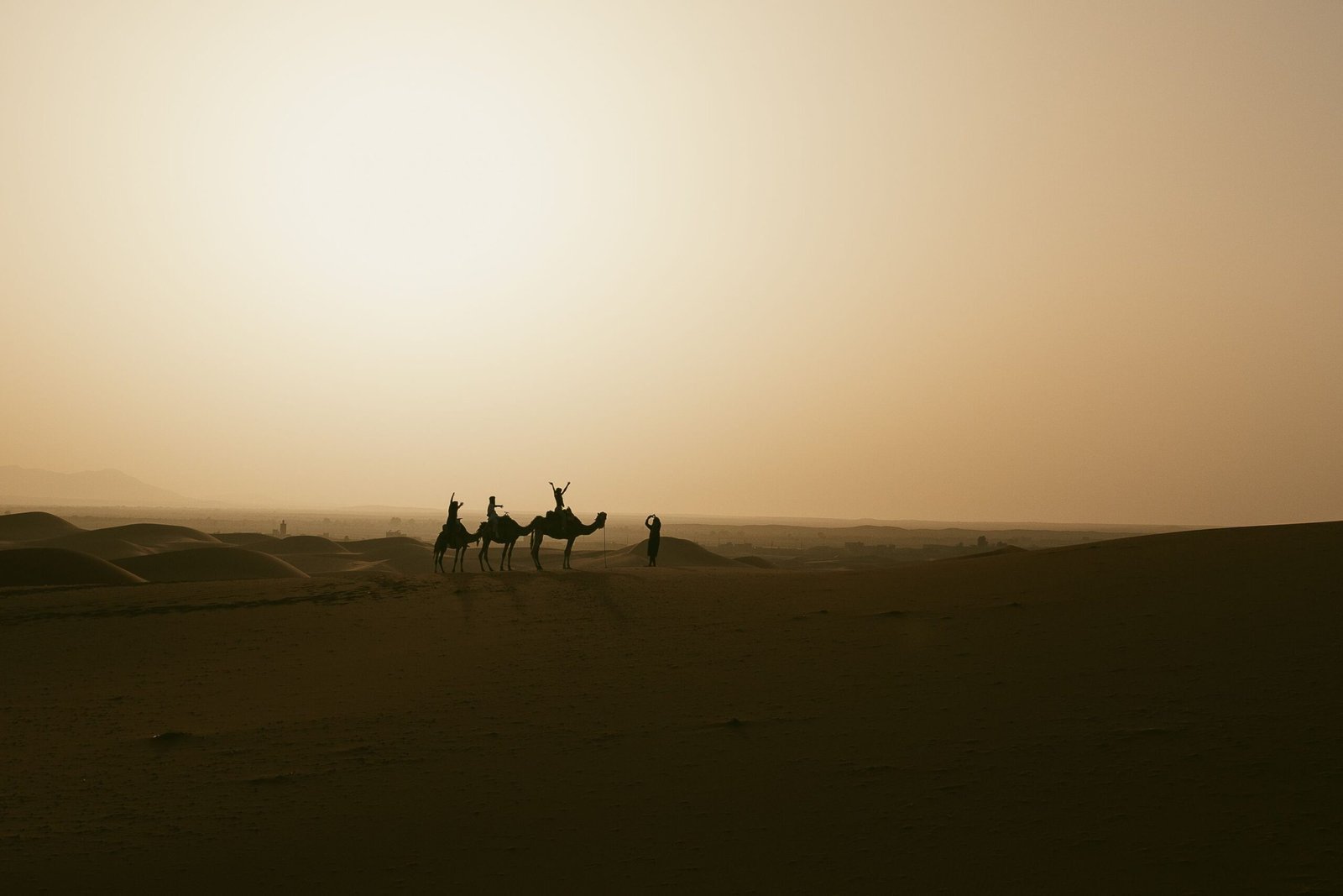 Silhouette of a camel caravan during sunset in the Sahara Desert near Merzouga, Morocco.